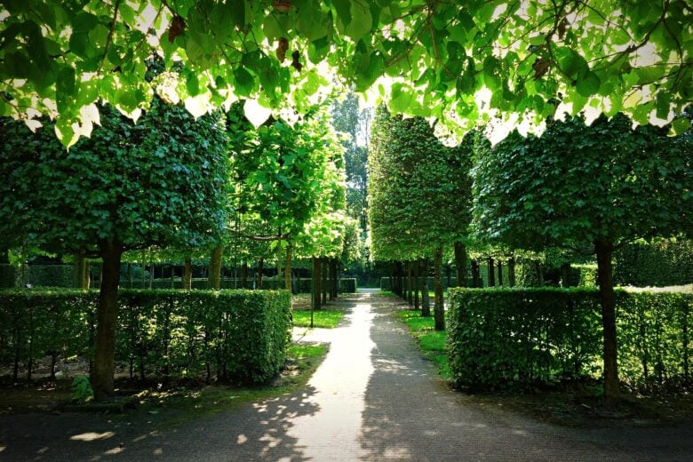i giardini segreti di Amsterdam aprono per un weekend
