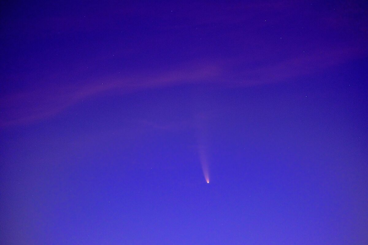 cometa PanSTARRS