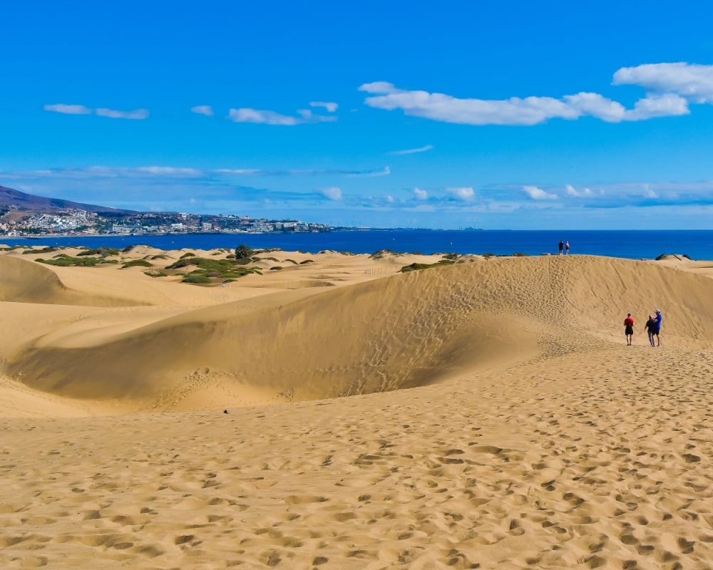 Dune