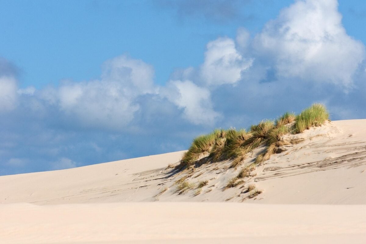 Dune, Di