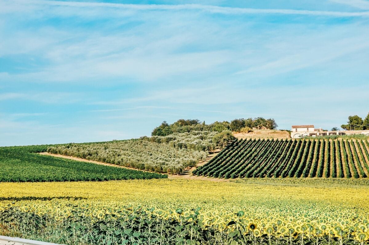 turismo dop classifica regioni