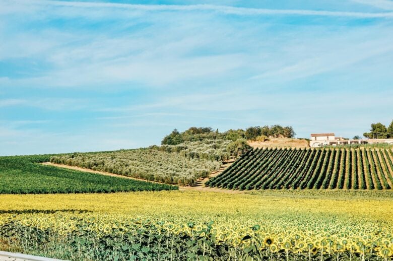 turismo dop classifica regioni