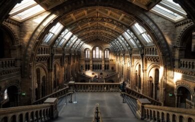 La classifica globale dei musei più visitati: chi domina davvero