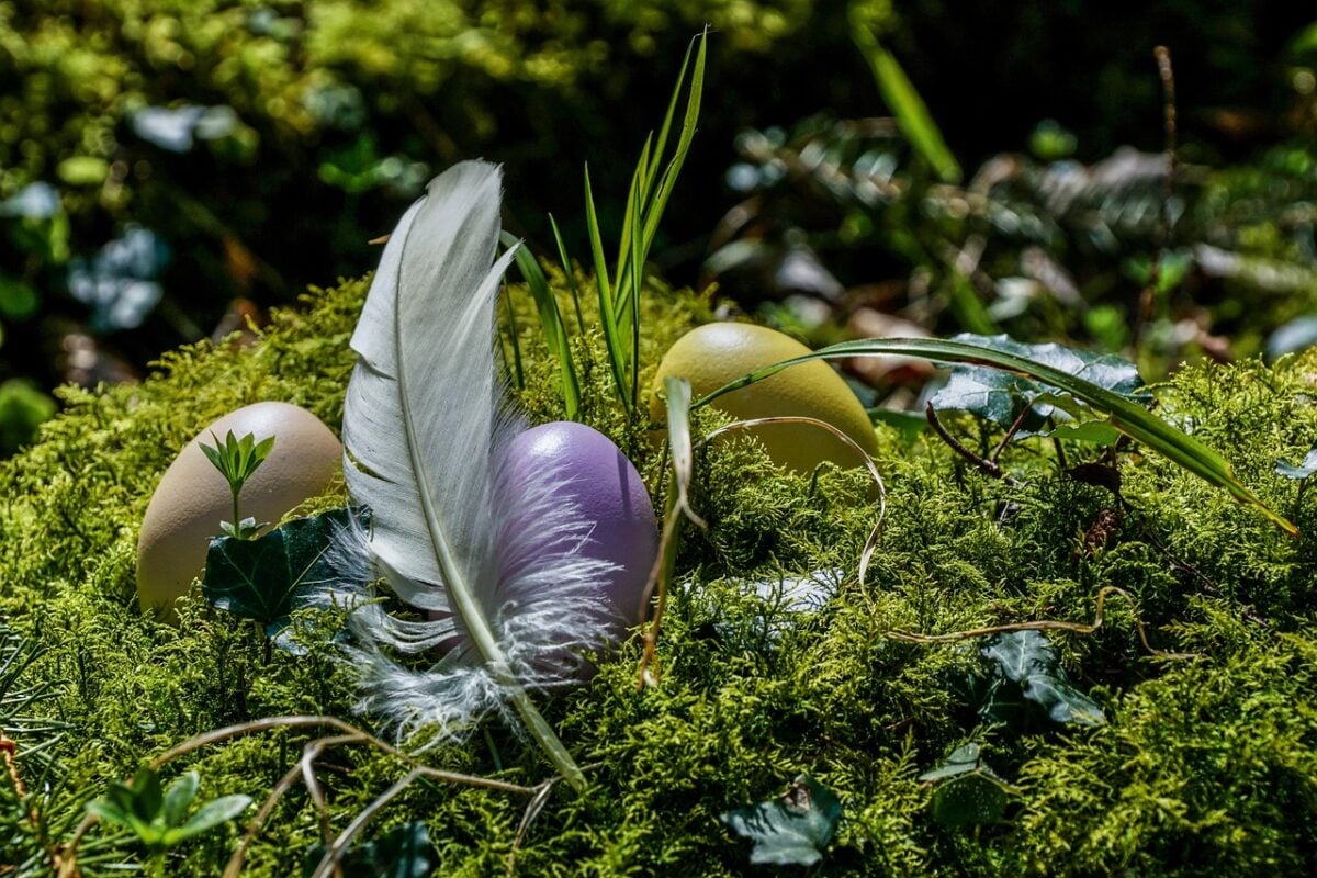Pasqua