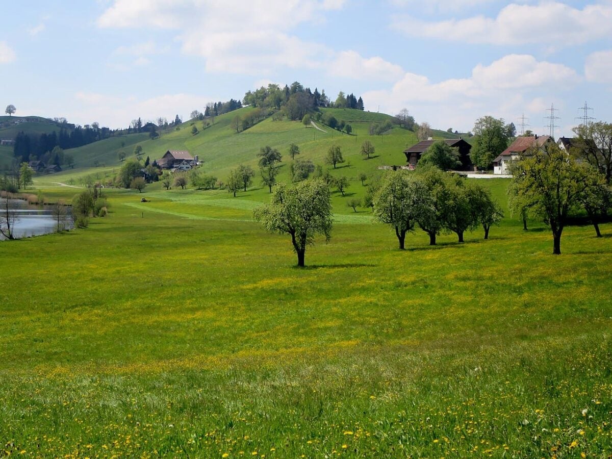 Pianura della Lorze