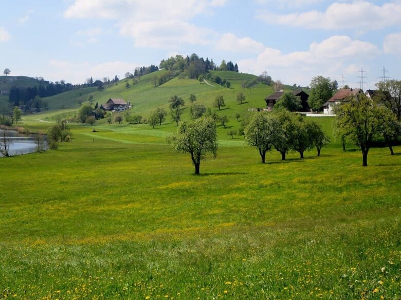 Pianura della Lorze