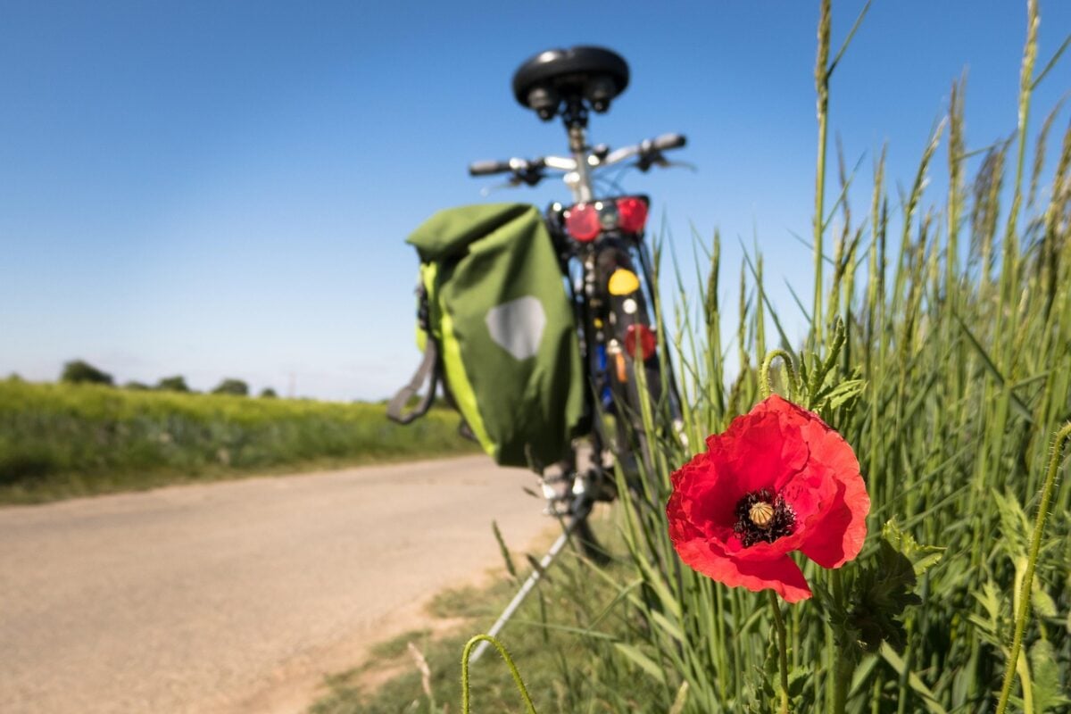 Pista, Ciclabile