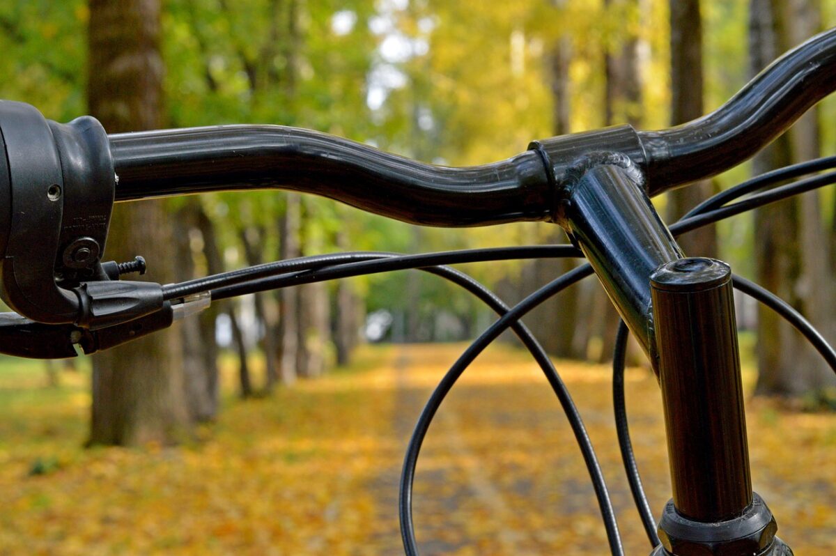 Pista, Ciclabile