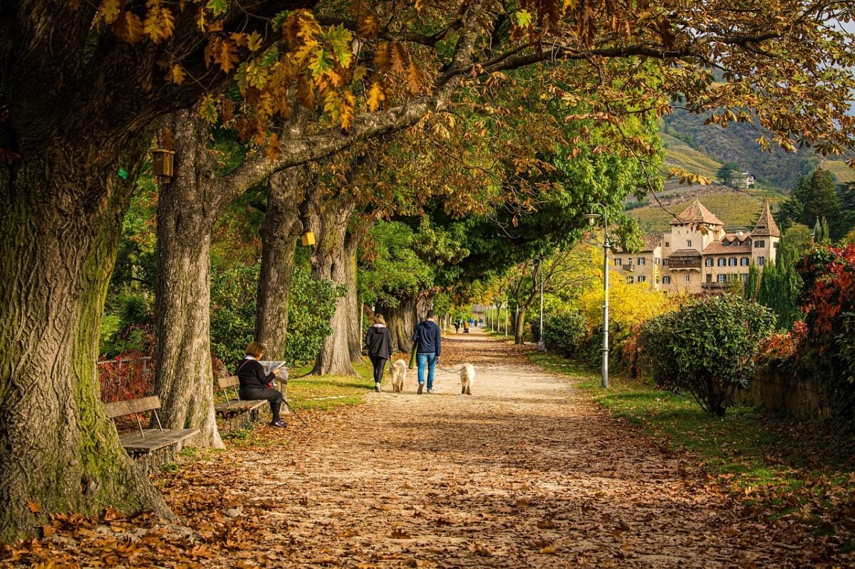 Bolzano