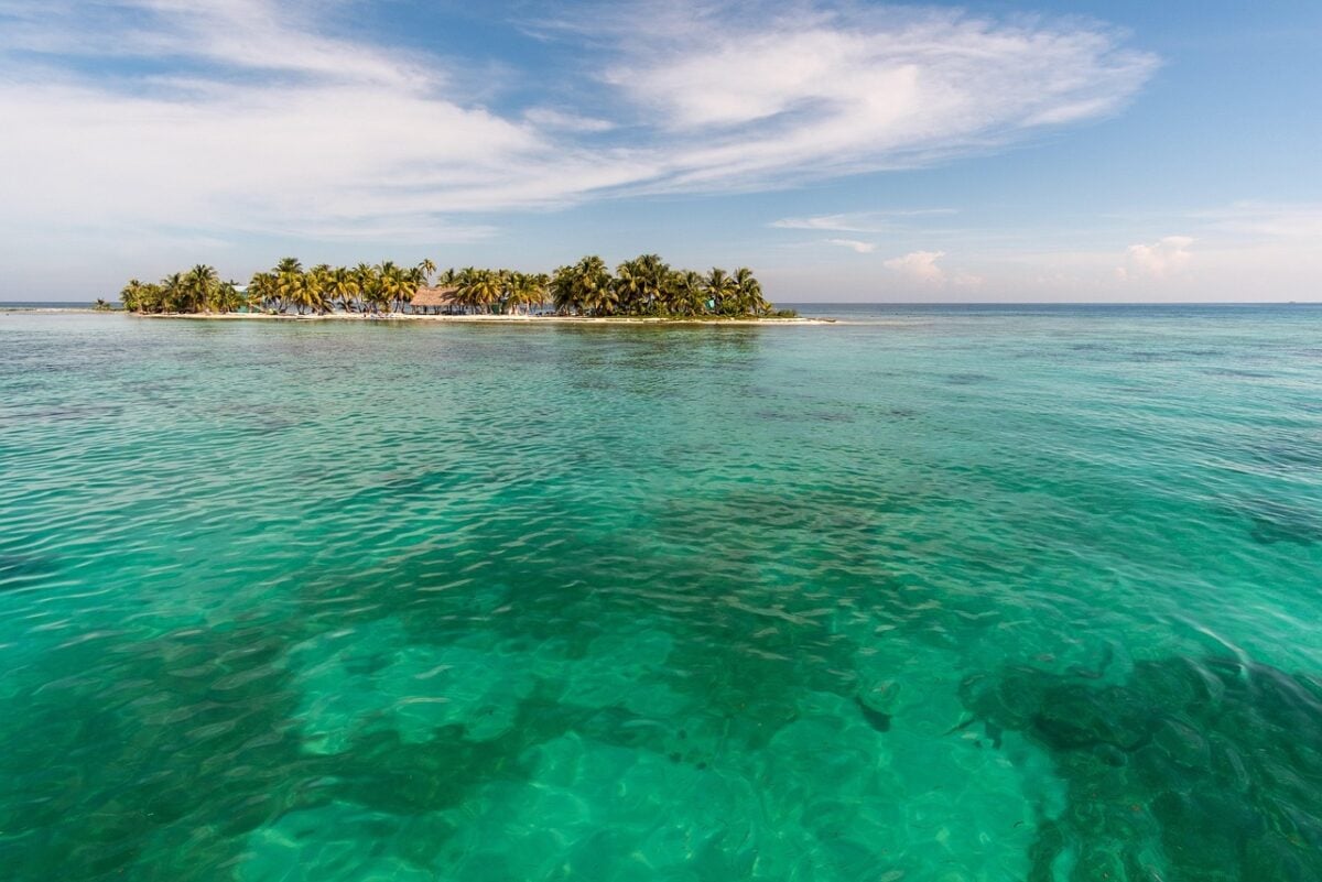 Harvest, Caye Harvest, Caye