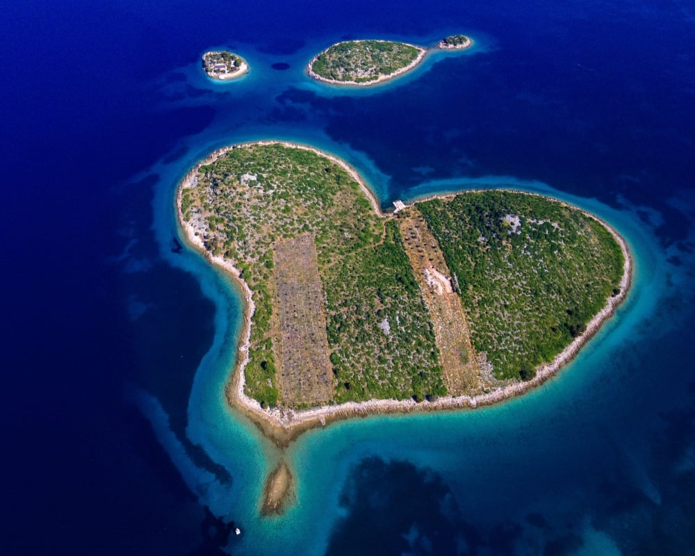 Gale&scaron;njak
