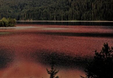 In Sicilia sta succedendo qualcosa di insolito: un lago è diventato rosso