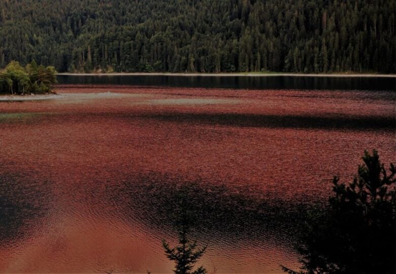 lago Dirillo si è colorato di rosso