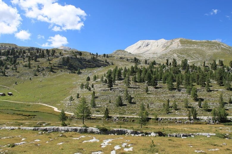 Parlamento delle Marmotte