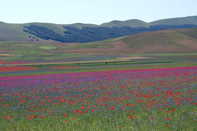 Castelluccio, Di