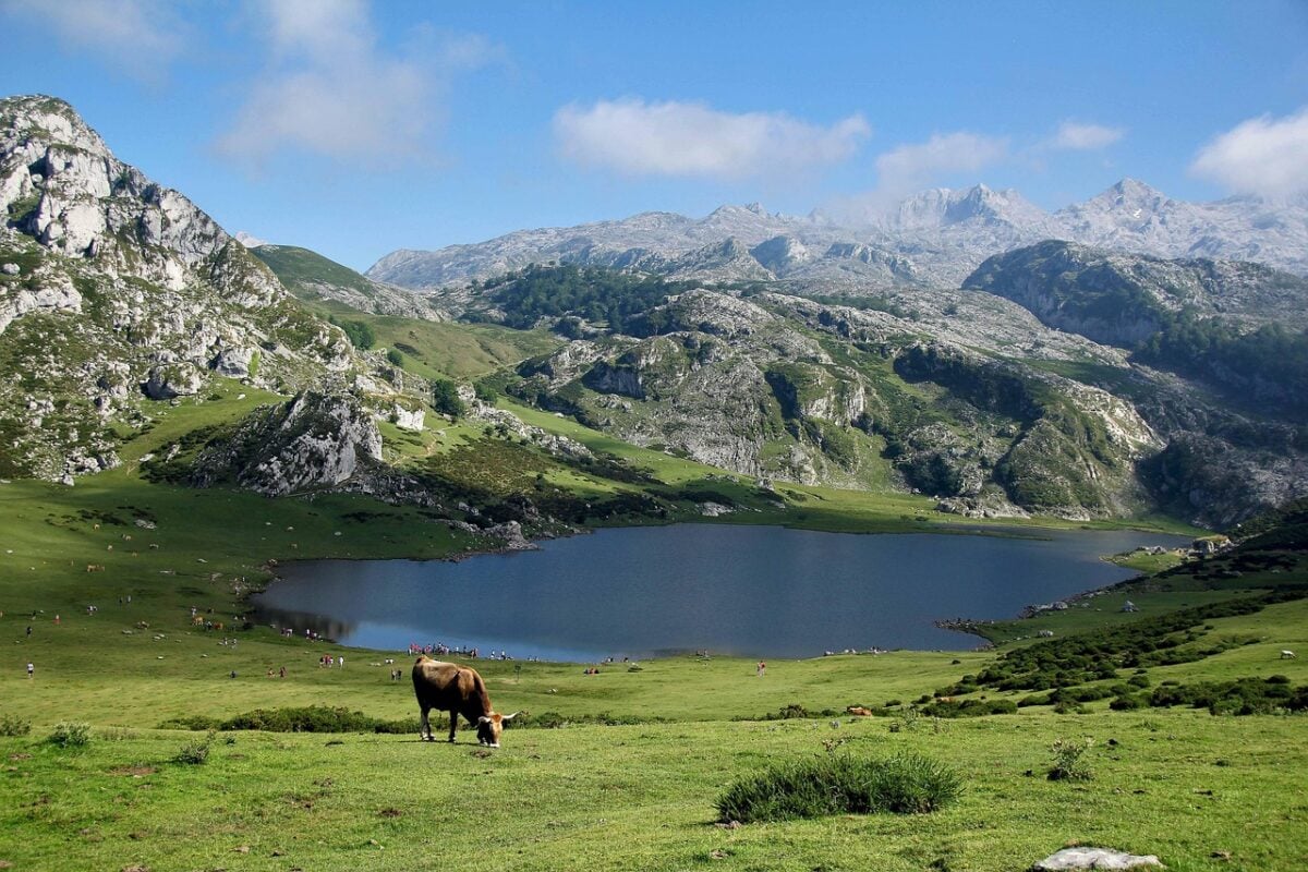 Covadonga Covadonga