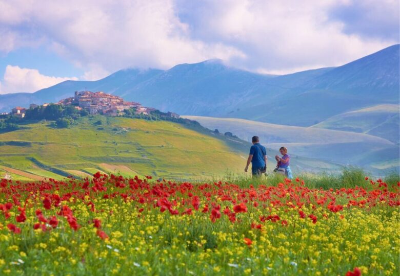 Fioritura di Castelluccio di Norcia 2026