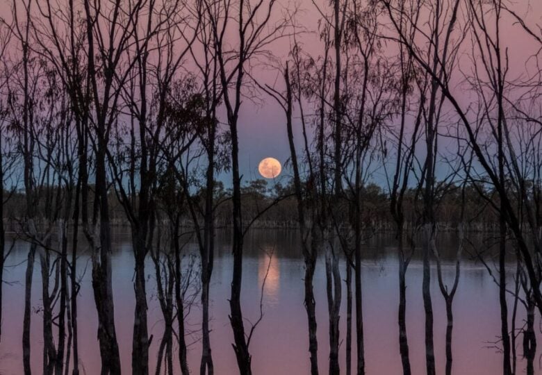 Luna delle Fragole 2026