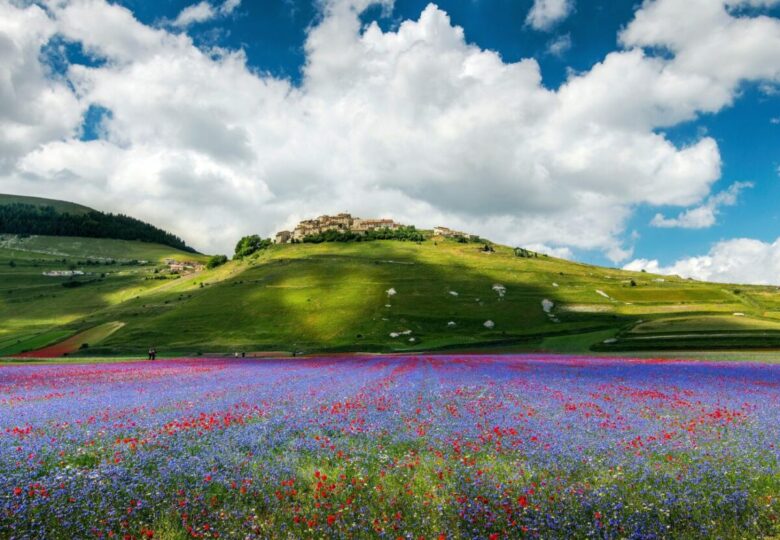 Pian Grande di Castelluccio
