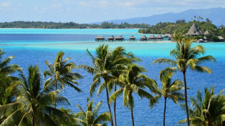 Scenic tropical seascape with palm trees and overwater bungalows.