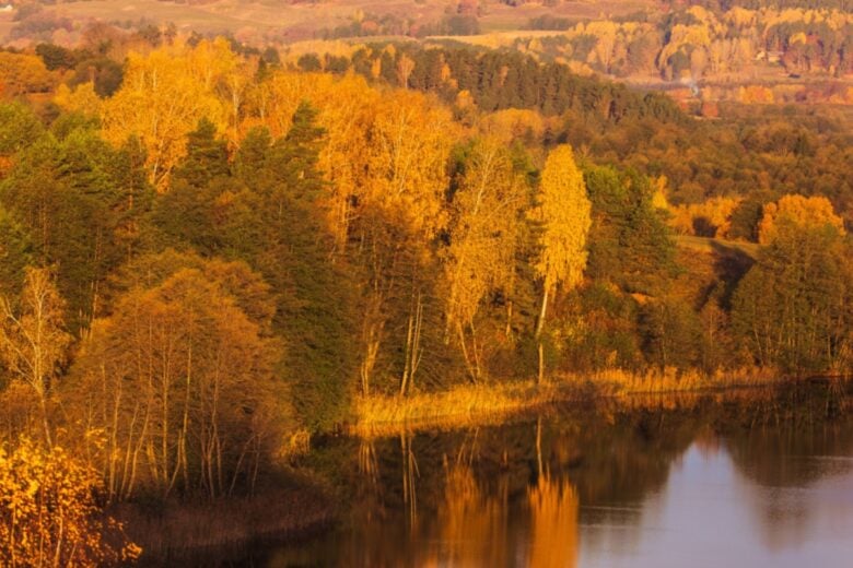 Autunno 2026