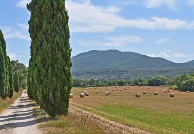 Il cammino italiano che tutti possono fare in un giorno conquista sempre più viaggiatori