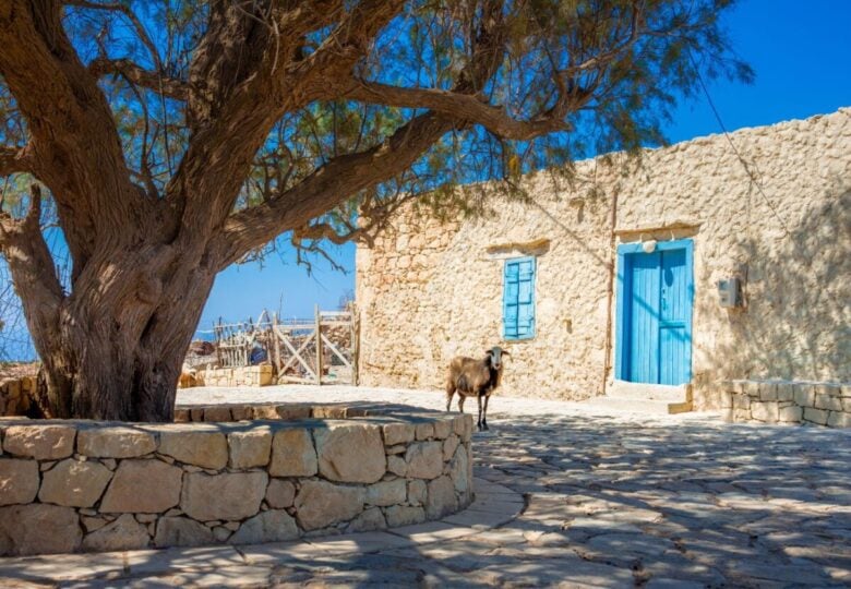 Gavdos grecia