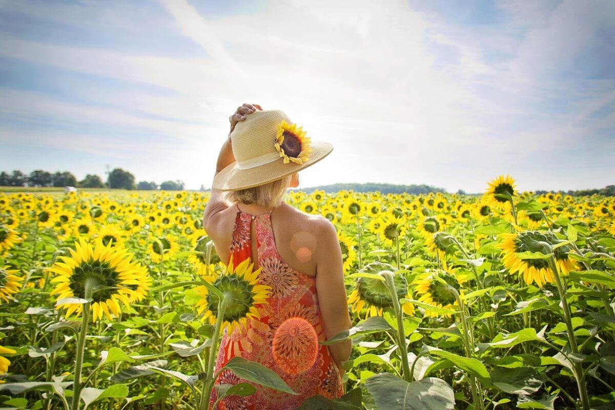 Girasoli Girasoli