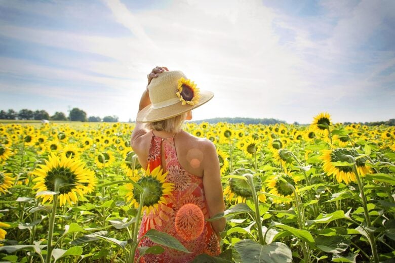Girasoli