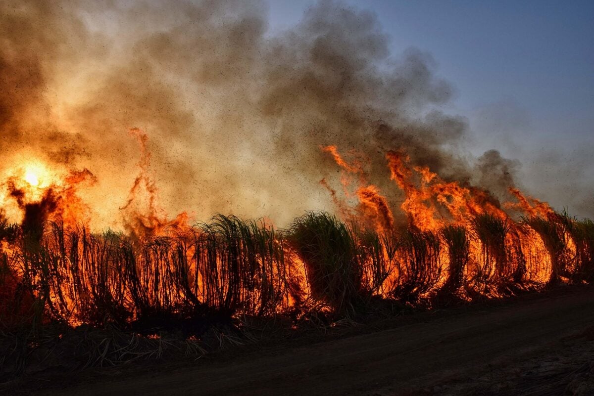 Incendio Incendio