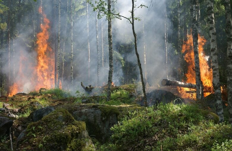 Incendio, Grecia