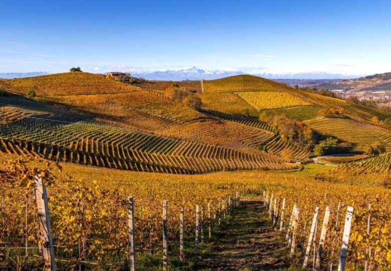 Langhe in autunno