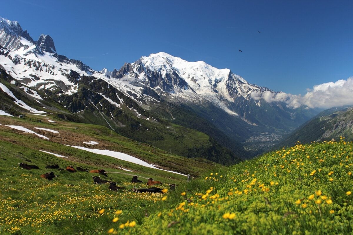 Monte, Bianco Monte, Bianco