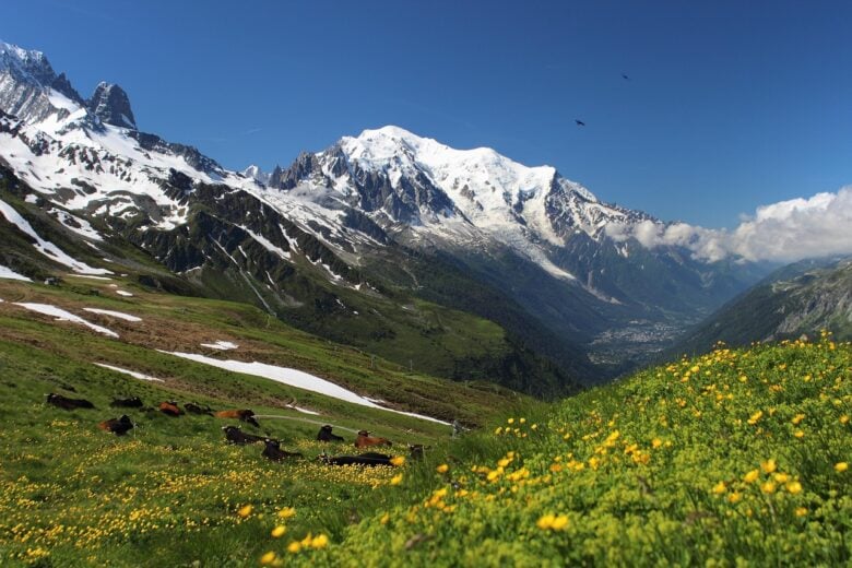Monte, Bianco