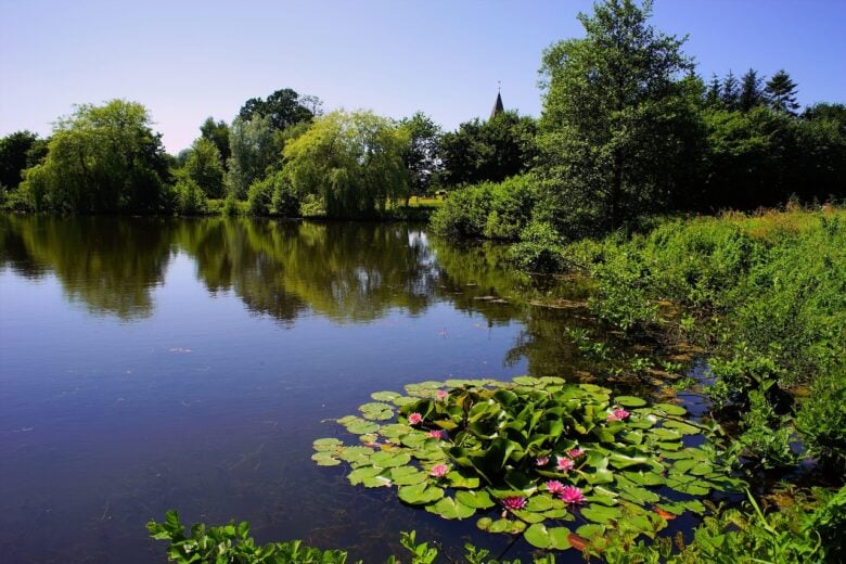 Ninfee, Lago