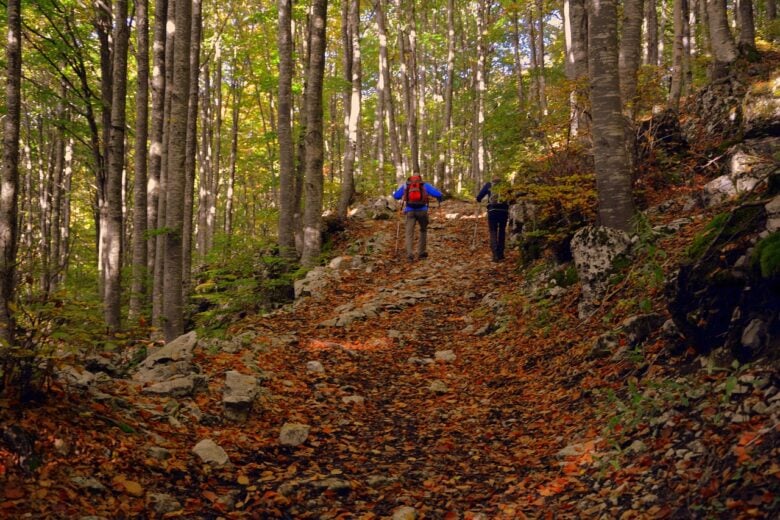 Trekking, Autunno