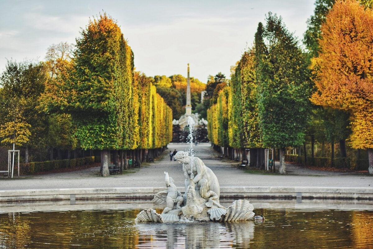 Vienna Vienna
