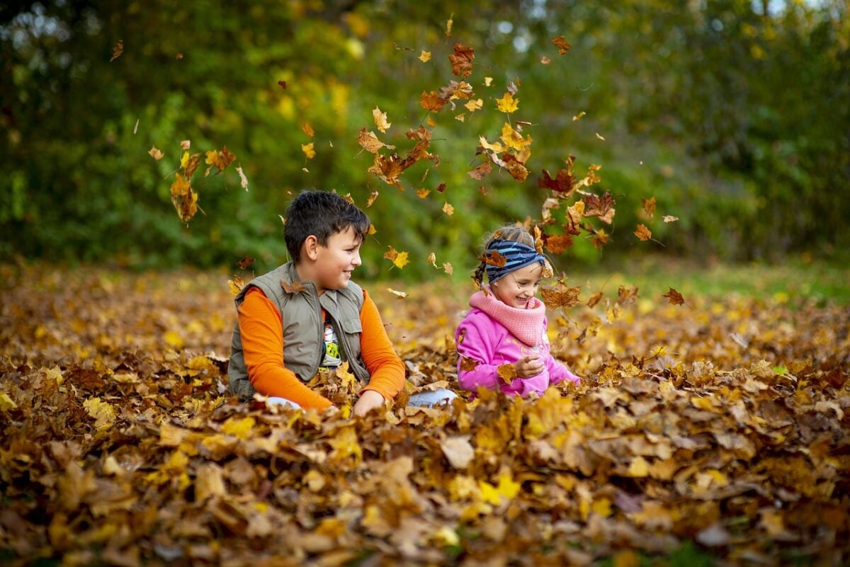 Bambini, Bosco Bambini, Bosco