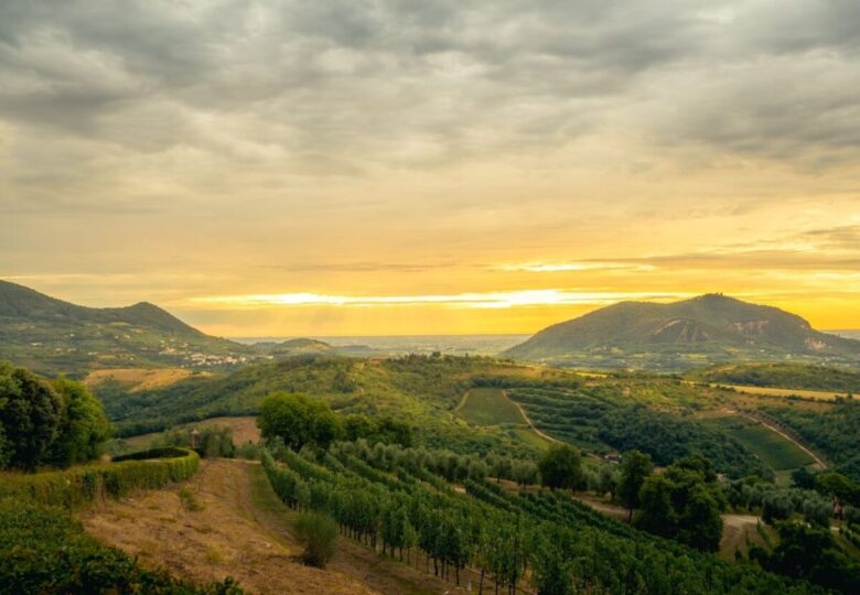 Colli Euganei