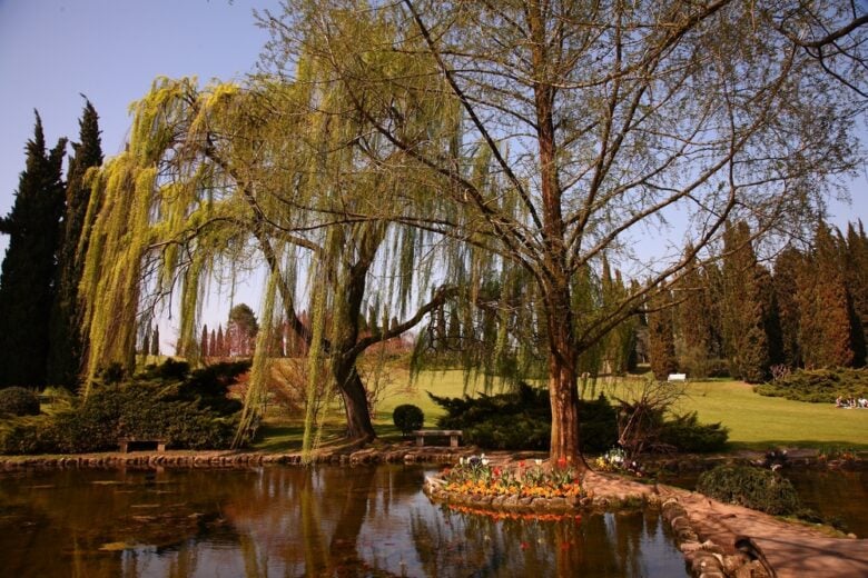 Giardino Acquatico