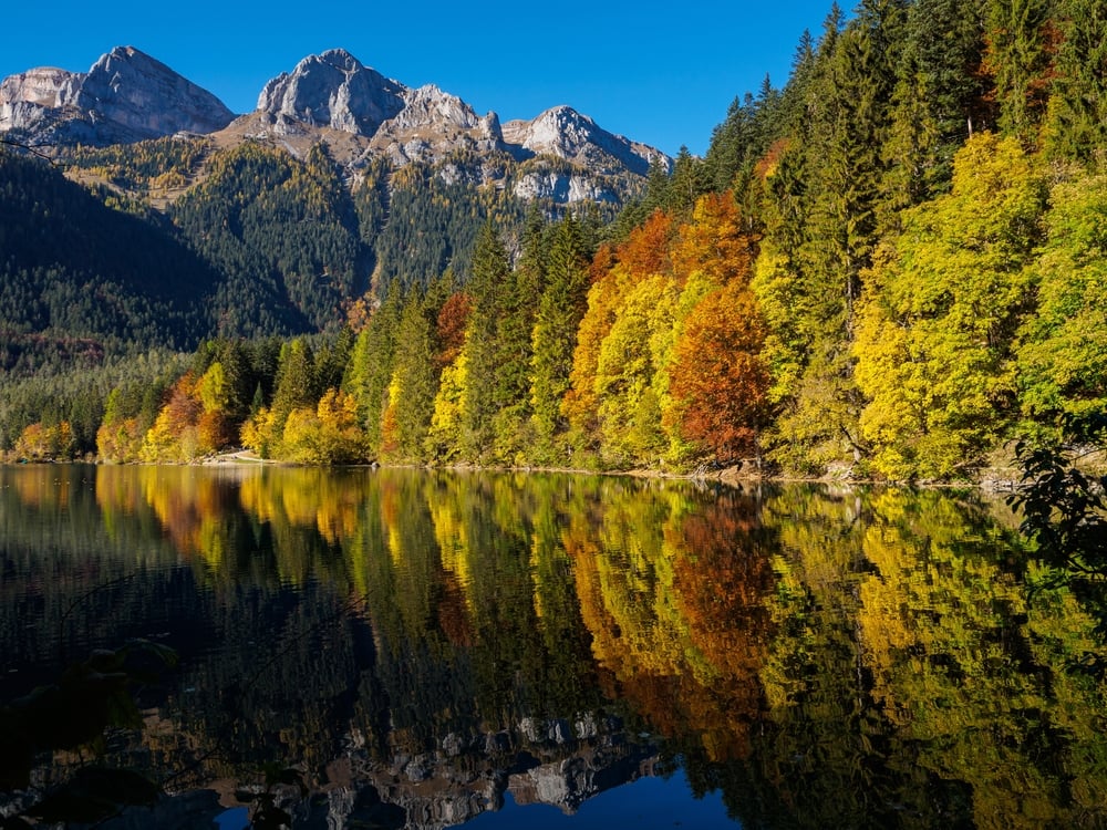 Lago Tovel Lago Tovel
