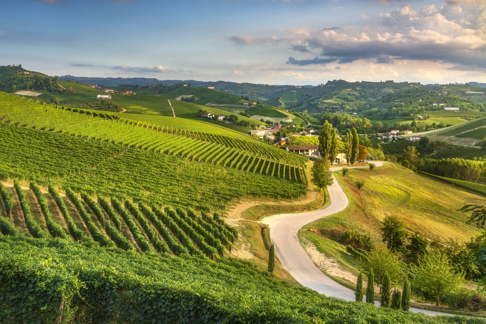 Langhe Langhe