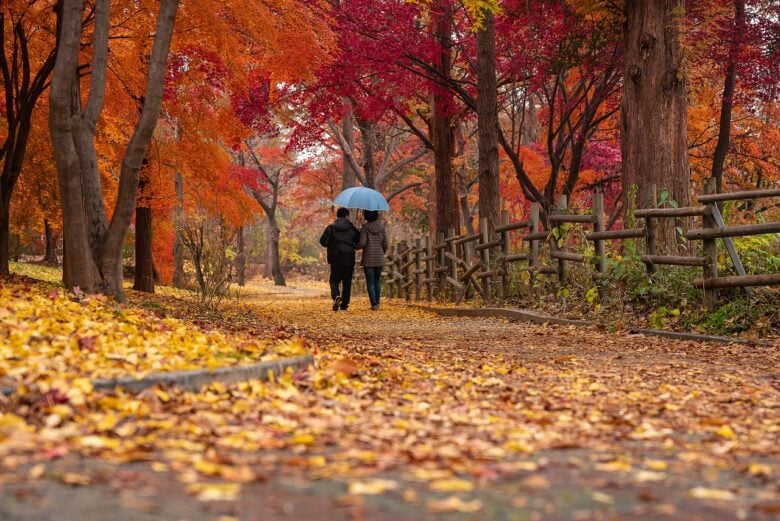 Parco, Autunno