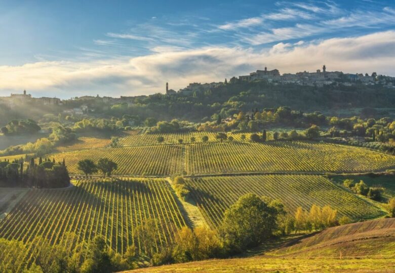 Strada del Vino Terre di Arezzo