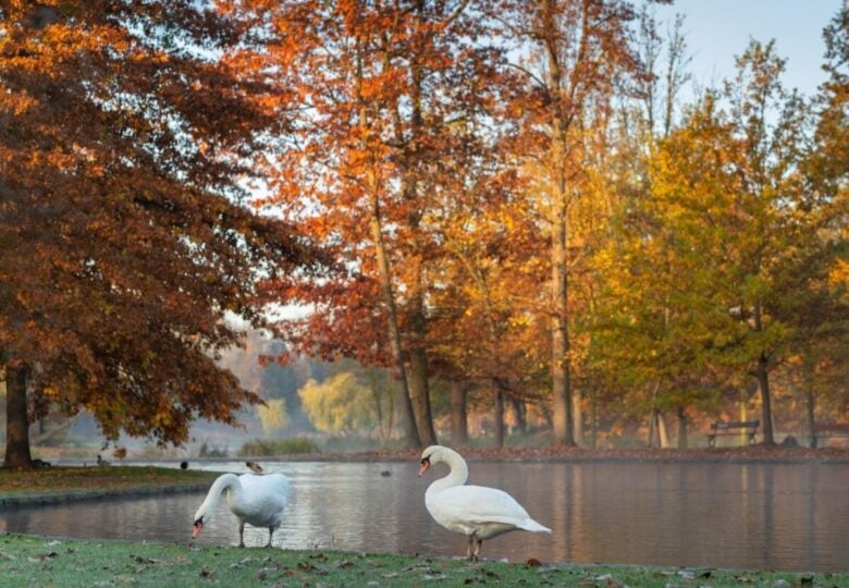 Stromovka, Praga