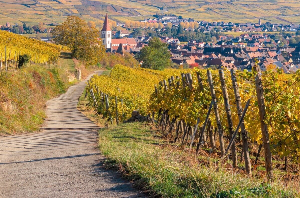 Vigneti, Strada Vigneti, Strada
