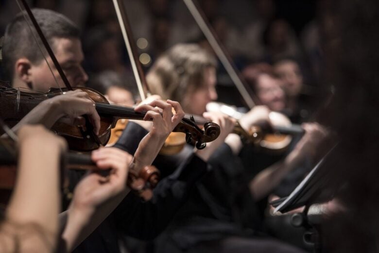 violins, musicians, orchestra, instruments, bowed string instruments, musical, musical instruments, classical music, concert, music, performance, string instruments, orchestra, orchestra, orchestra, orchestra, orchestra, concert, music, music, music