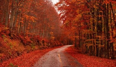 Equinozio d’autunno 2026: non è il 21 settembre manca pochissimo al vero inizio della nuova stagione