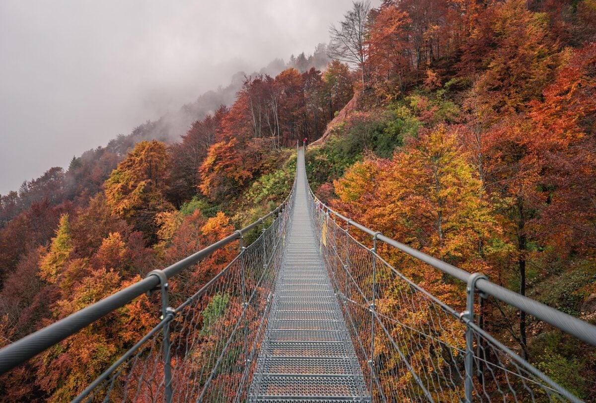 bridge, autumn, ponte, autunno, nature, tree, highway, natura, foglie, colori, colourfull, colour, field, brown bridge, brown field, ponte, natura, natura, natura, natura, natura