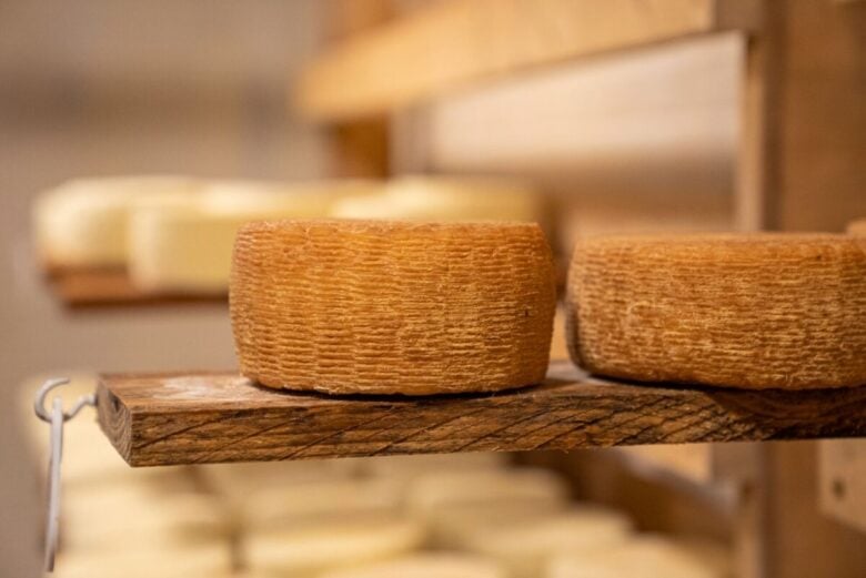 Close-up of aging artisan cheese wheels on wooden shelves in a cheese cellar.